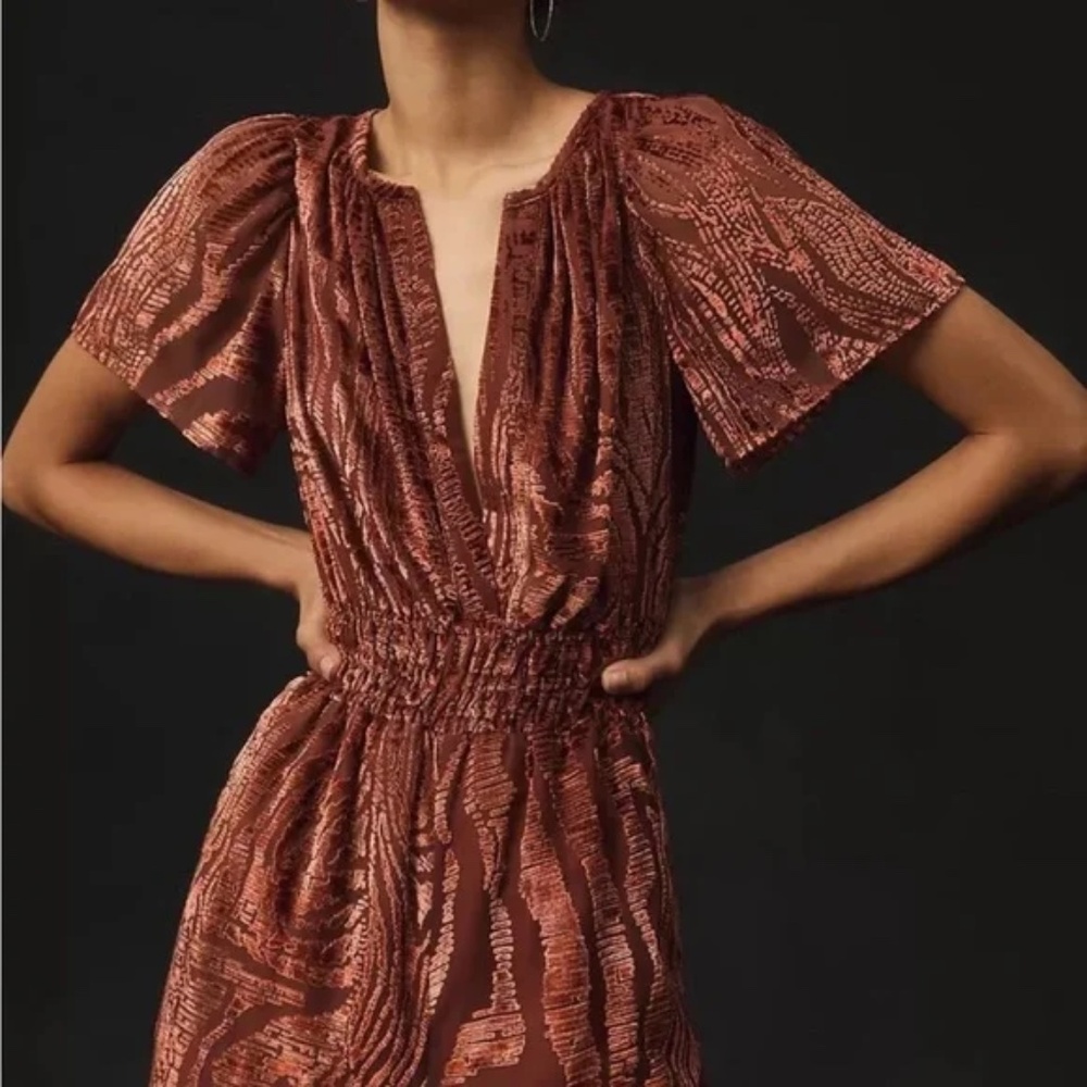 Anthropologie The Somerset Jumpsuit: Velvet Burnout Edition Size Small - Picture 3 of 4